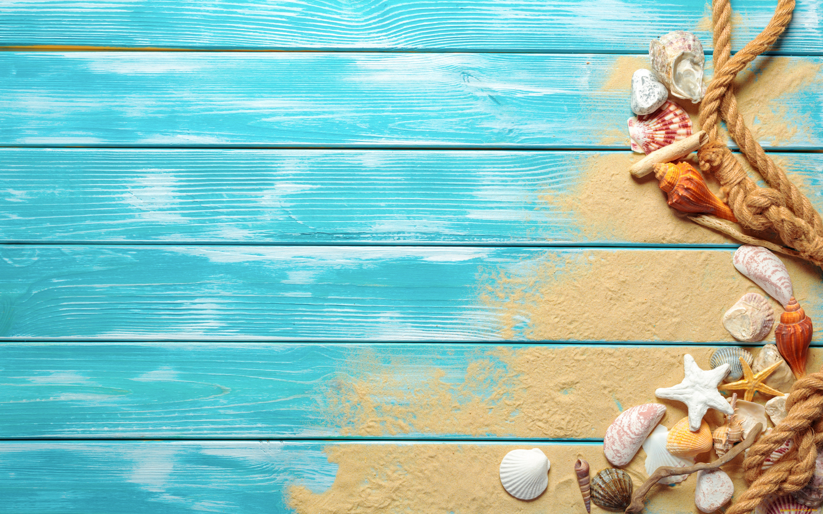 , ,  ,    spa-, , , beach, wood, sand, marine, still, life, starfish, seashells